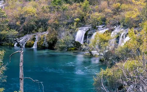 绿色高效高端